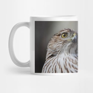 Coopers Hawk Mug